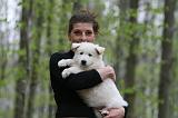 ADULTE ET CHIEN 349